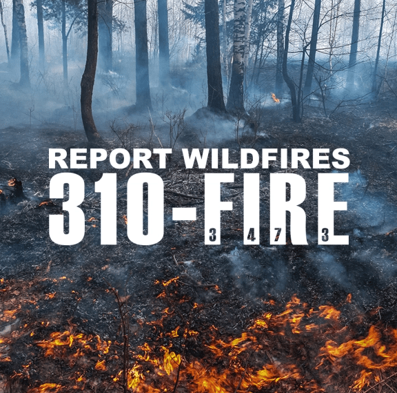 310 FIRE