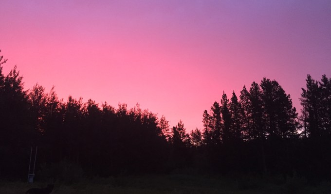 Firefighters in the Field: Mid-Season Stories – Lightning, Smokes, Coffee Sampling, and&nbsp;Clover