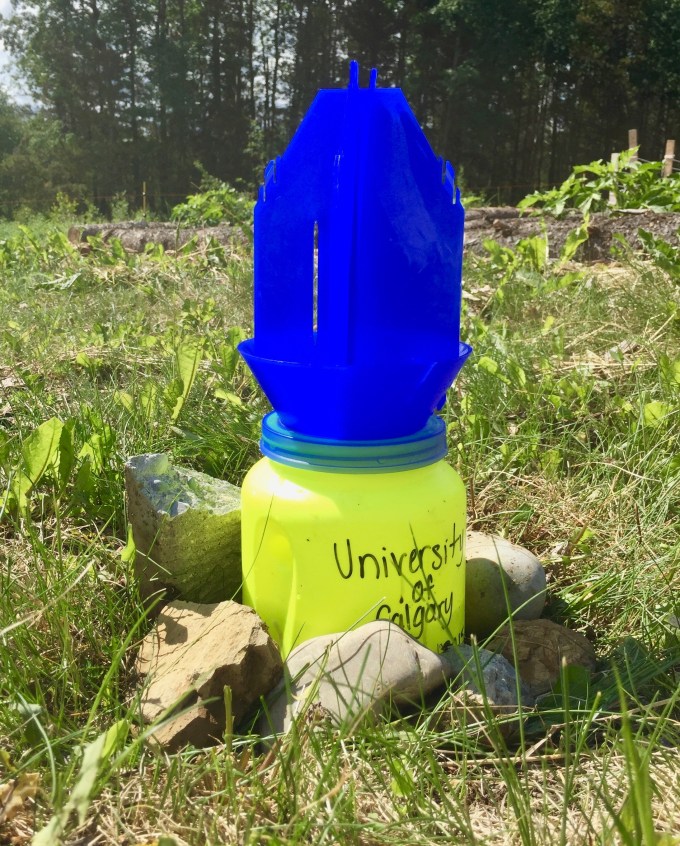 Bee trap - Alberta native bee study