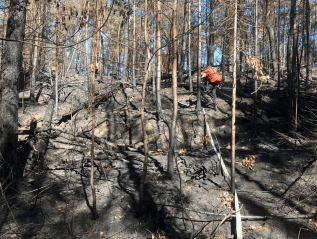 Firefighters in the Field: Highs and Lows at Bull Frog&nbsp;Lake