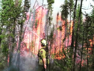 Firefighters in the Field – A Flap of&nbsp;Wildfires