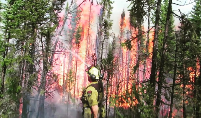 Firefighters in the Field – A Flap of&nbsp;Wildfires